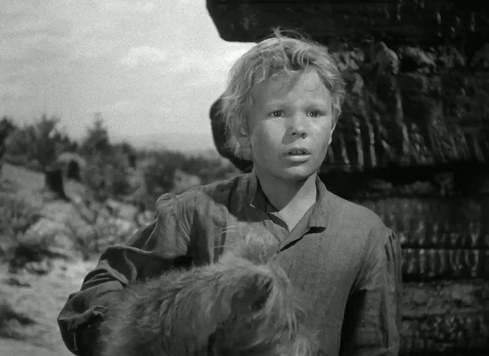 荒原の女の画像