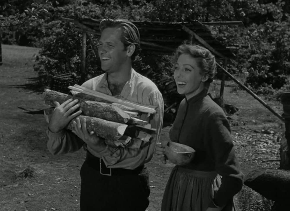 荒原の女の画像