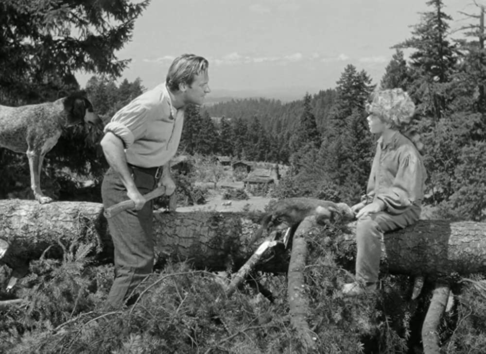 荒原の女の画像