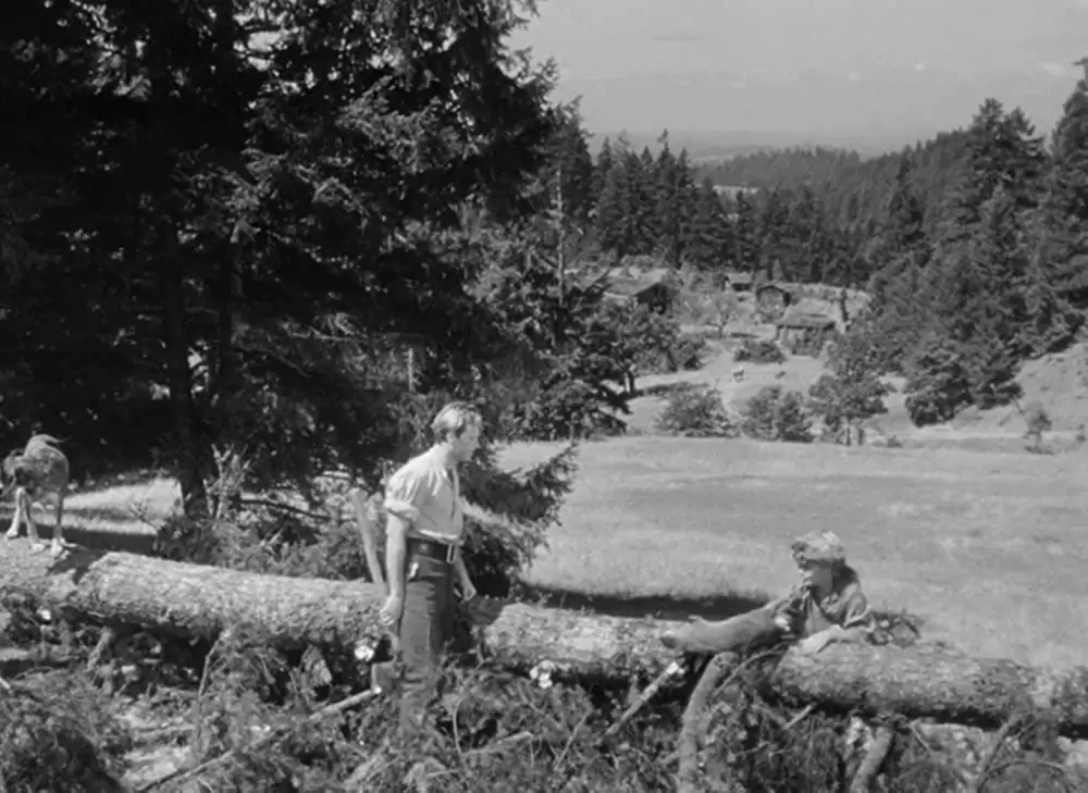 荒原の女の画像