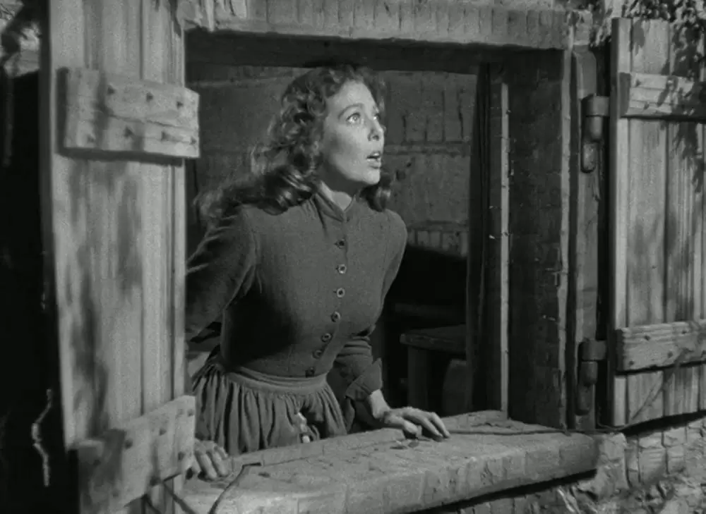 「荒原の女」ロレッタ・ヤングの画像