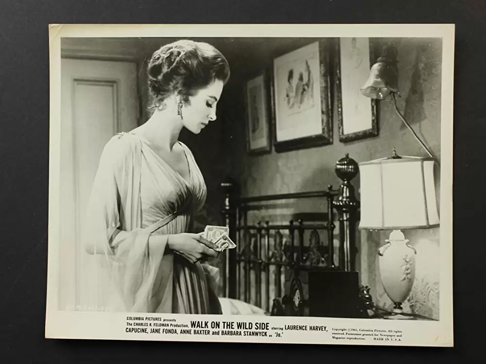 荒野を歩けの画像