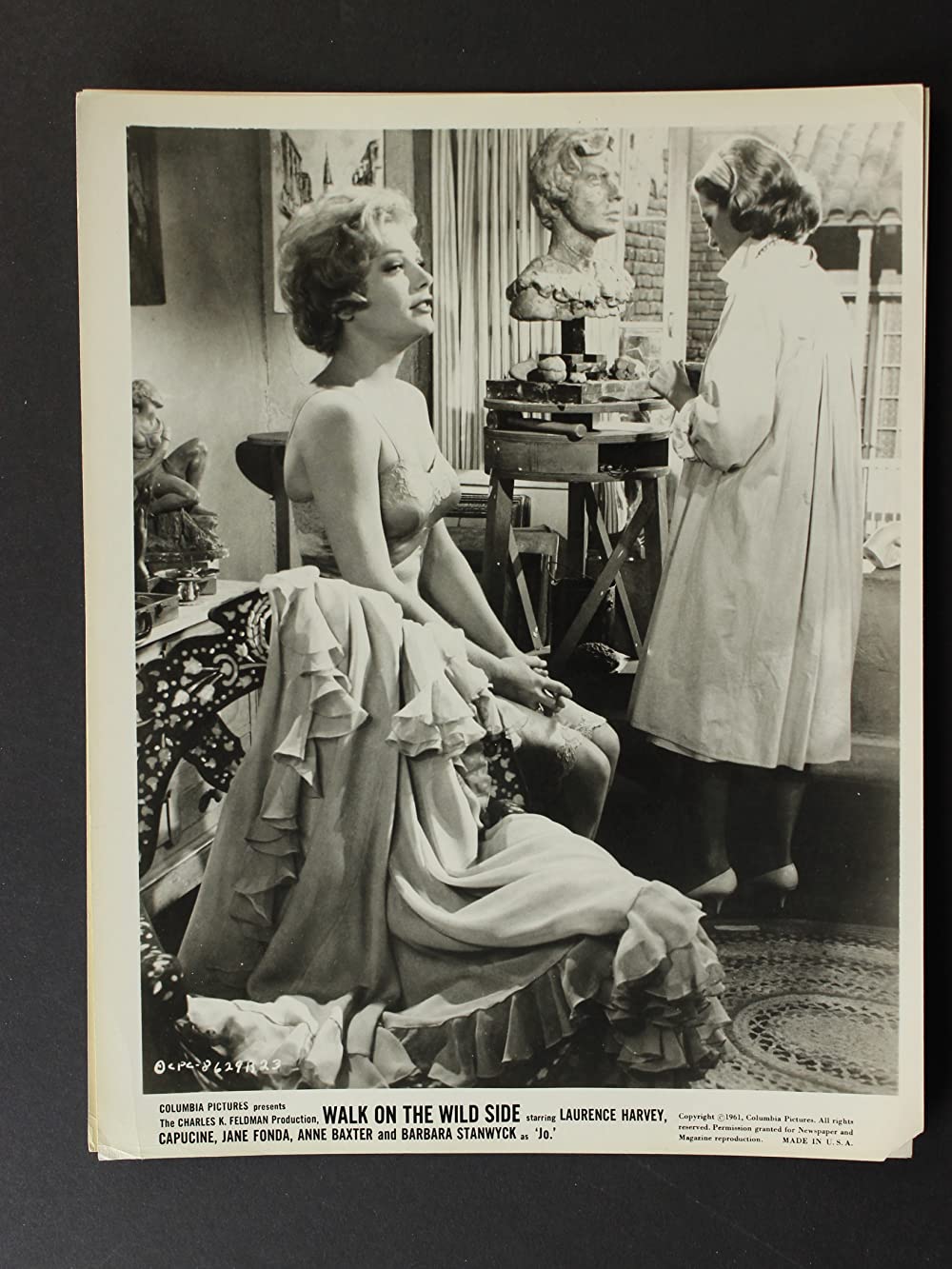 荒野を歩けの画像