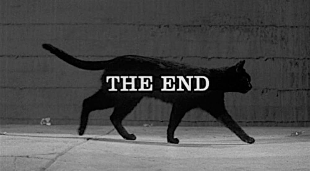 荒野を歩けの画像