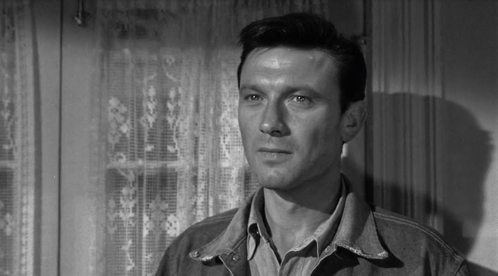 荒野を歩けの画像