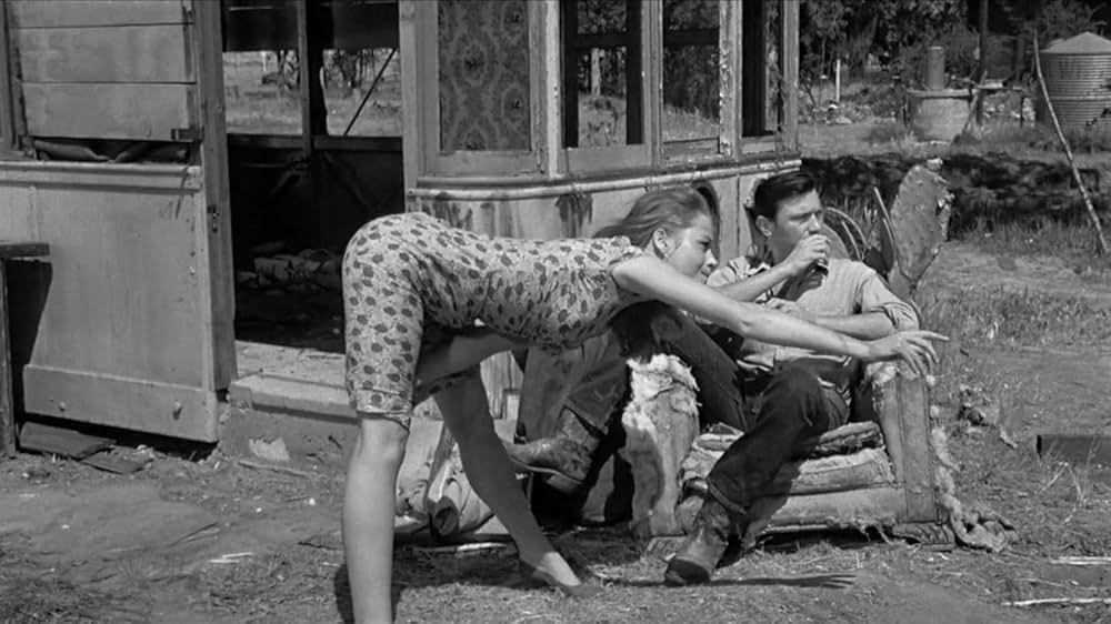 荒野を歩けの画像