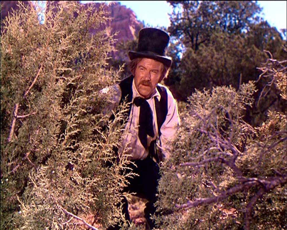 コマンチ族の怒りの画像