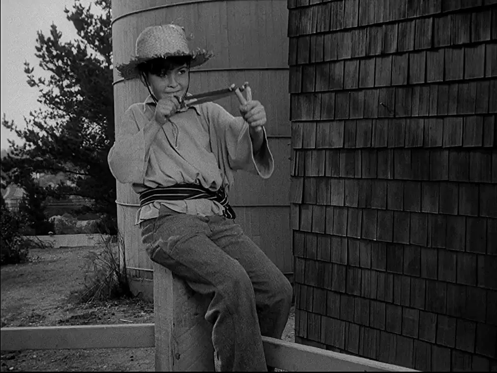 極楽闘牛士の画像