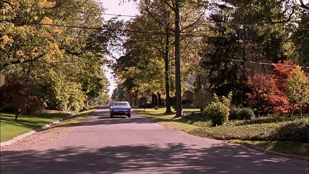 ミルク・マネーの画像