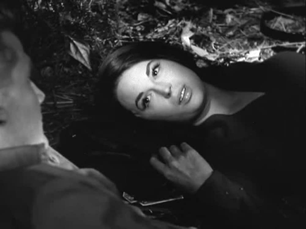 五人の札つき娘の画像