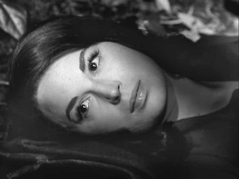 五人の札つき娘の画像