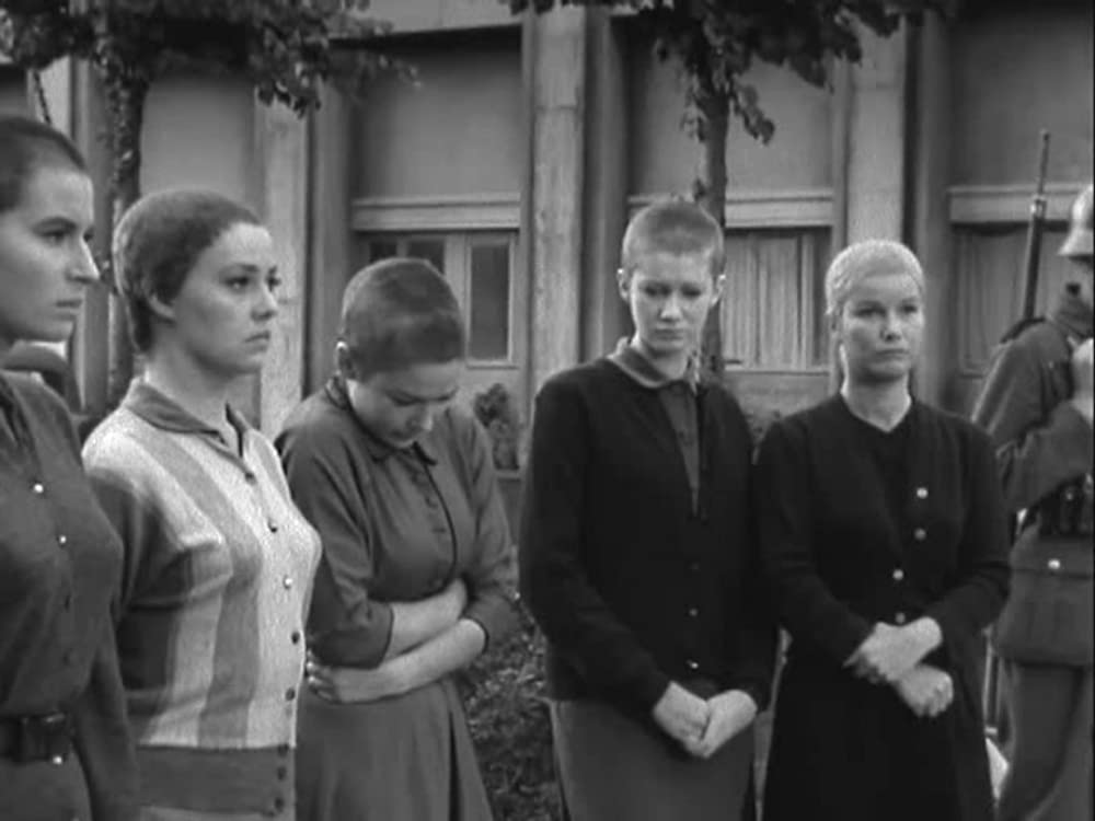 五人の札つき娘の画像