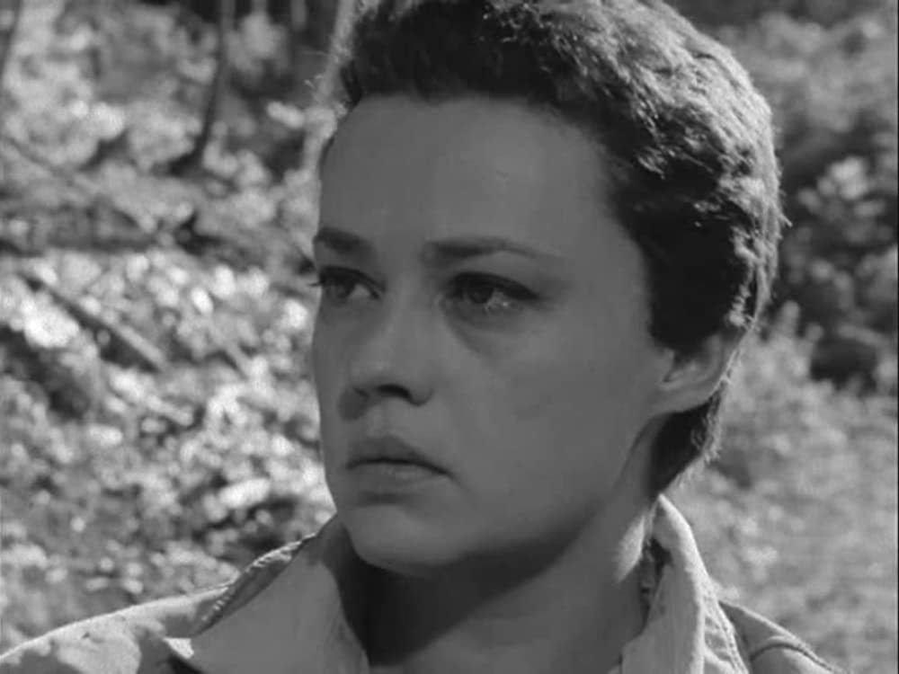 五人の札つき娘の画像