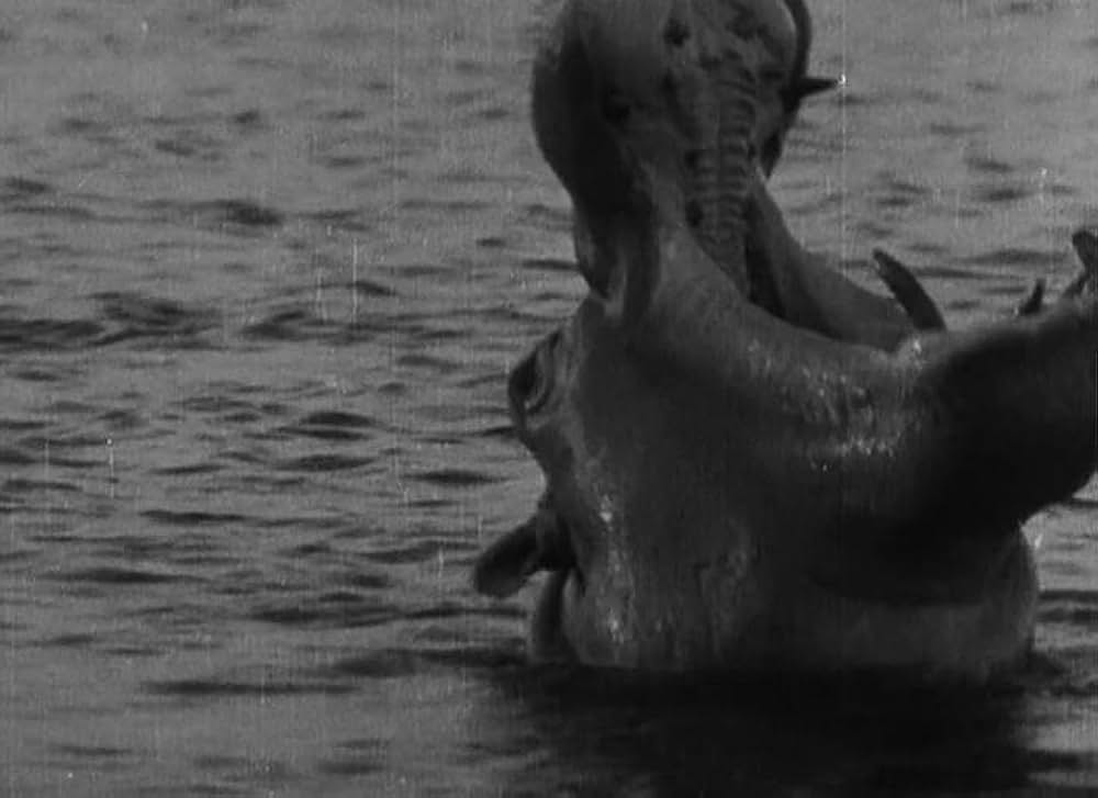 最後の駐屯兵の画像