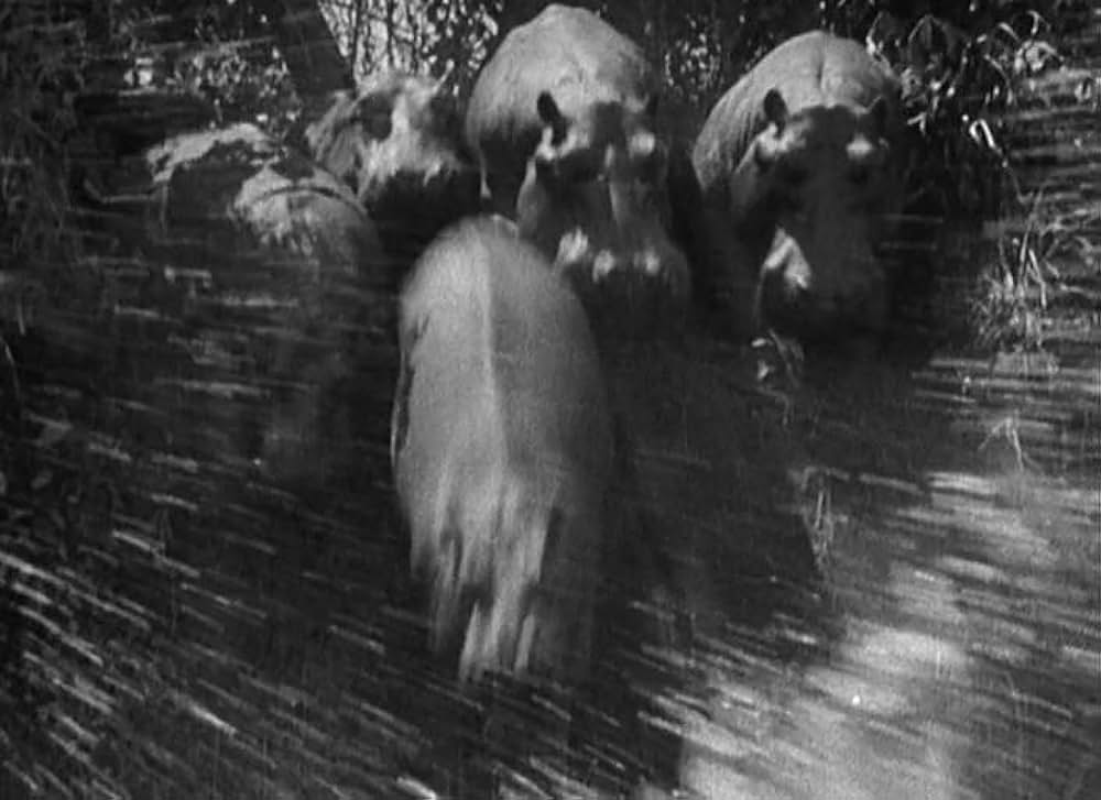 最後の駐屯兵の画像