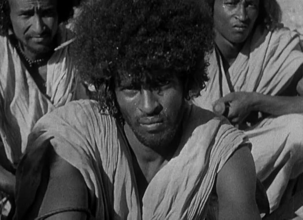 最後の駐屯兵の画像