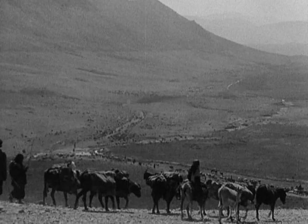 最後の駐屯兵の画像