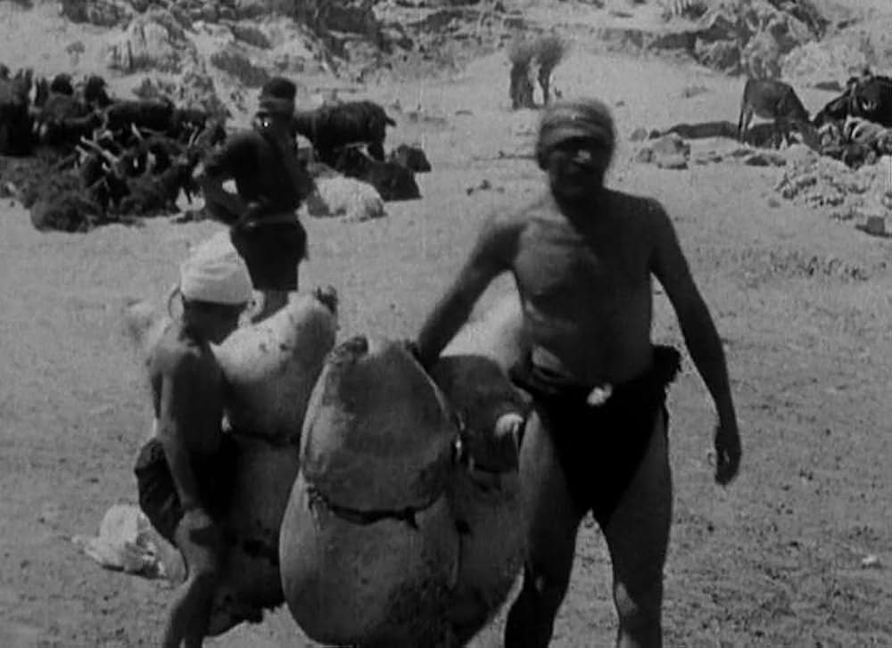 最後の駐屯兵の画像