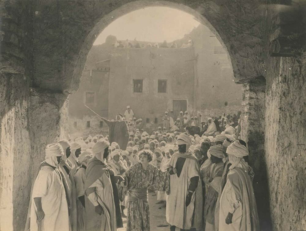 砂漠の健児の画像