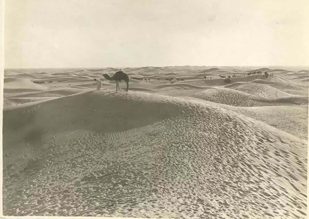 砂漠の健児の画像