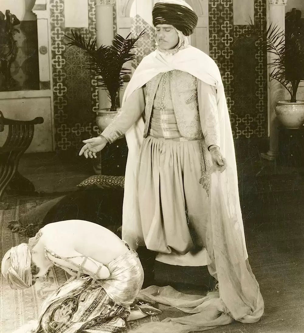 砂漠の健児の画像