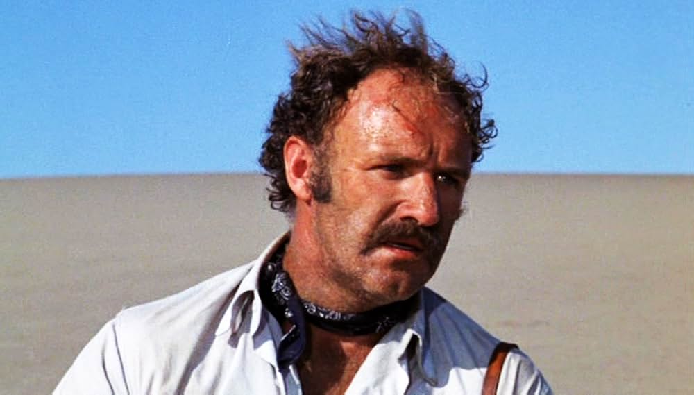 さらば荒野の画像