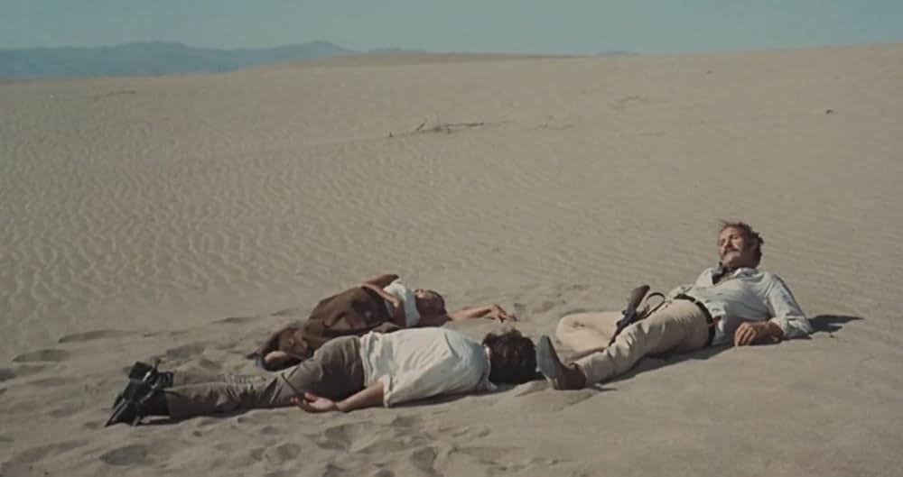 さらば荒野の画像