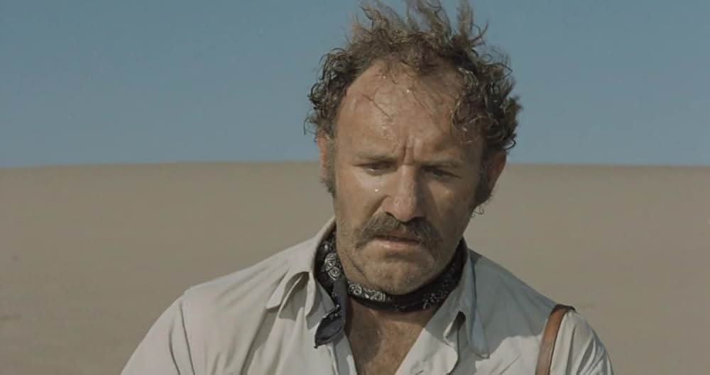 さらば荒野の画像