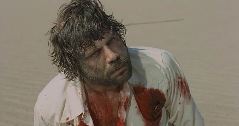 さらば荒野の画像