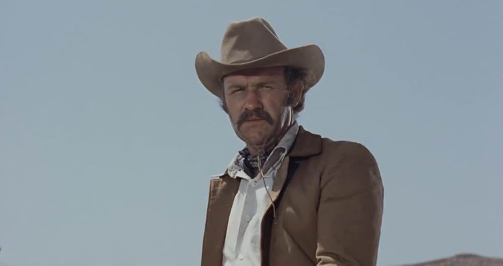 さらば荒野の画像