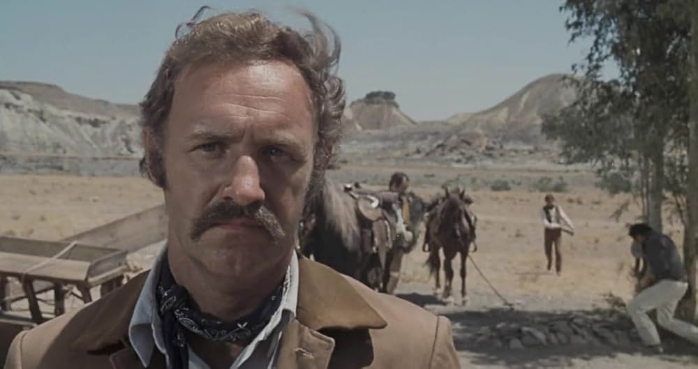 さらば荒野の画像