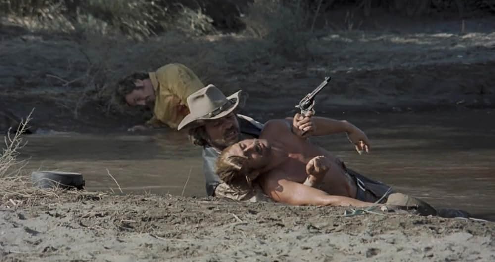 さらば荒野の画像