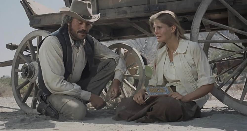 さらば荒野の画像