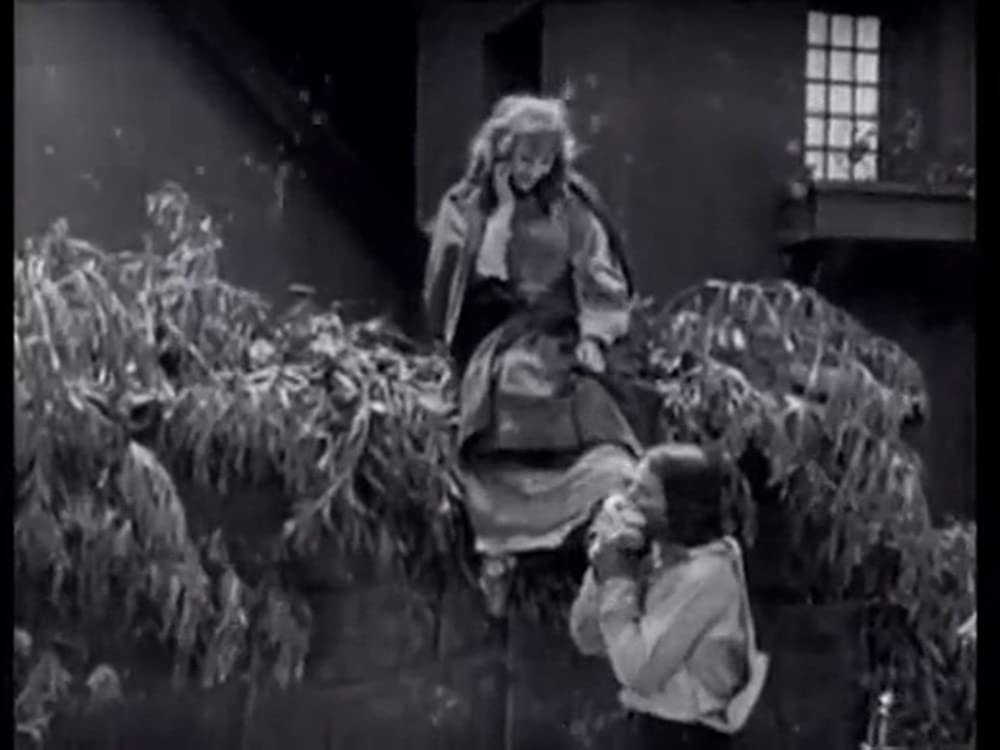 三銃士(1921・アメリカ)の画像