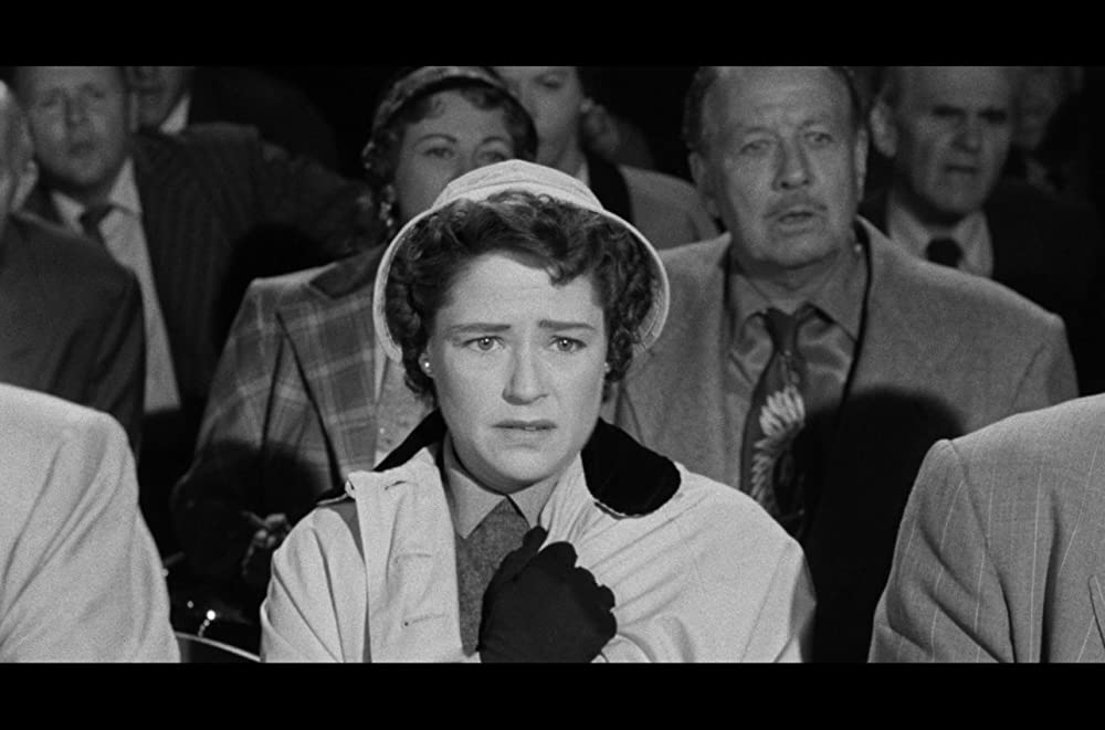 四角いジャングルの画像