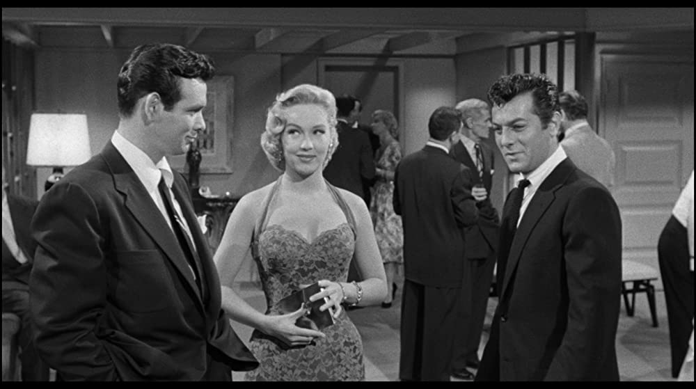 四角いジャングルの画像