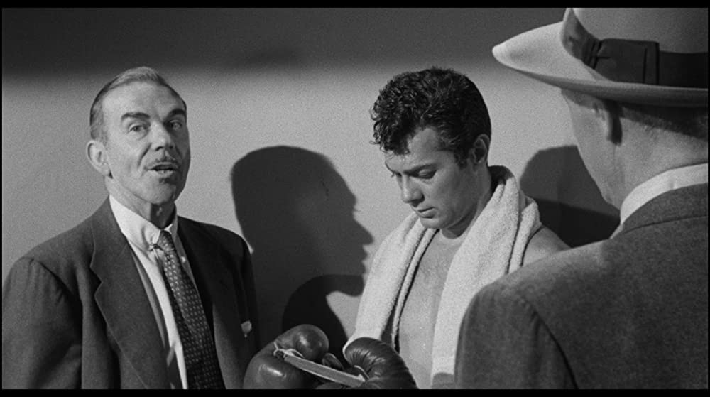 四角いジャングルの画像