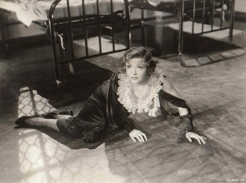 白い友情の画像