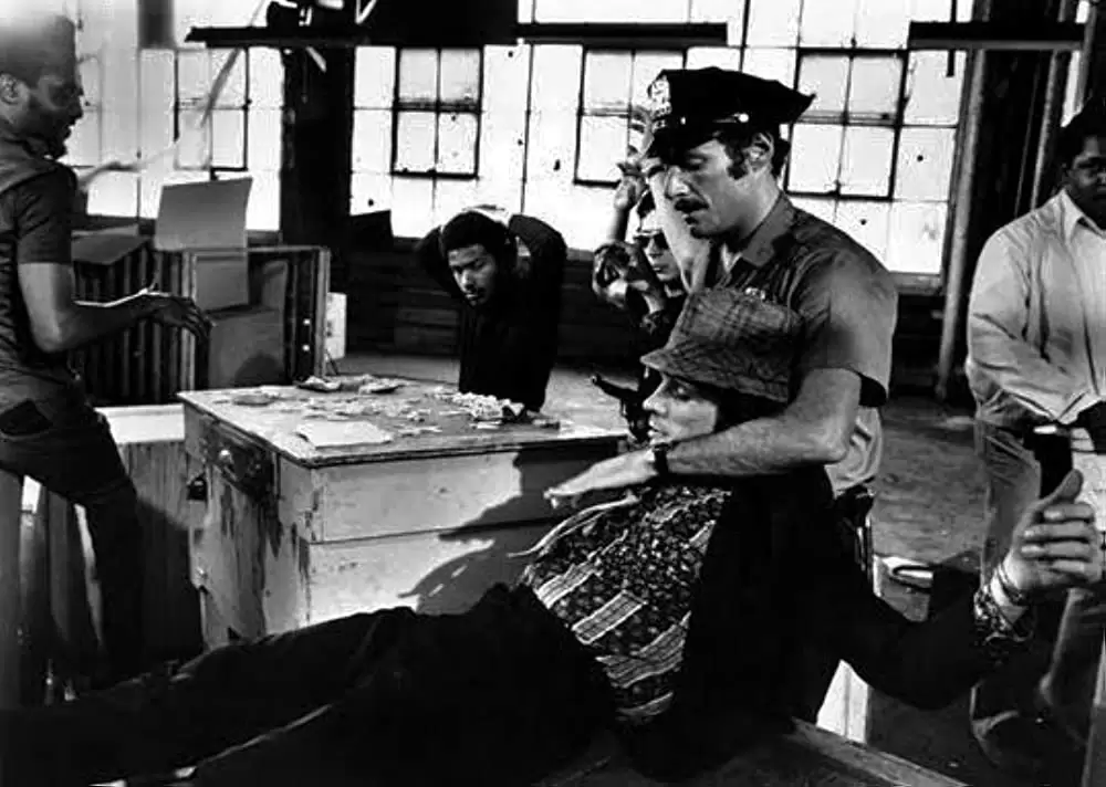 「スーパーコップス」ロン・リーブマン & デビッド・セルビーの画像