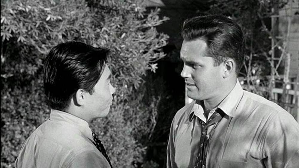 戦場よ永遠にの画像