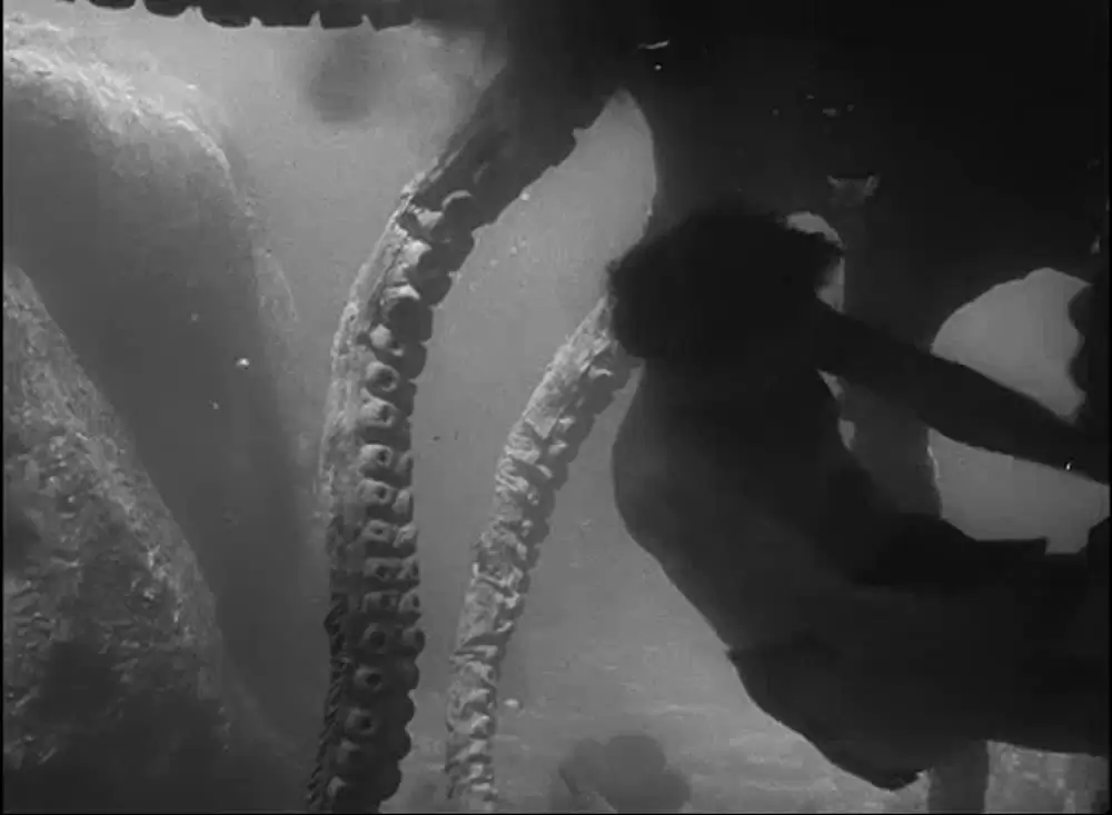 絶海のターザンの画像