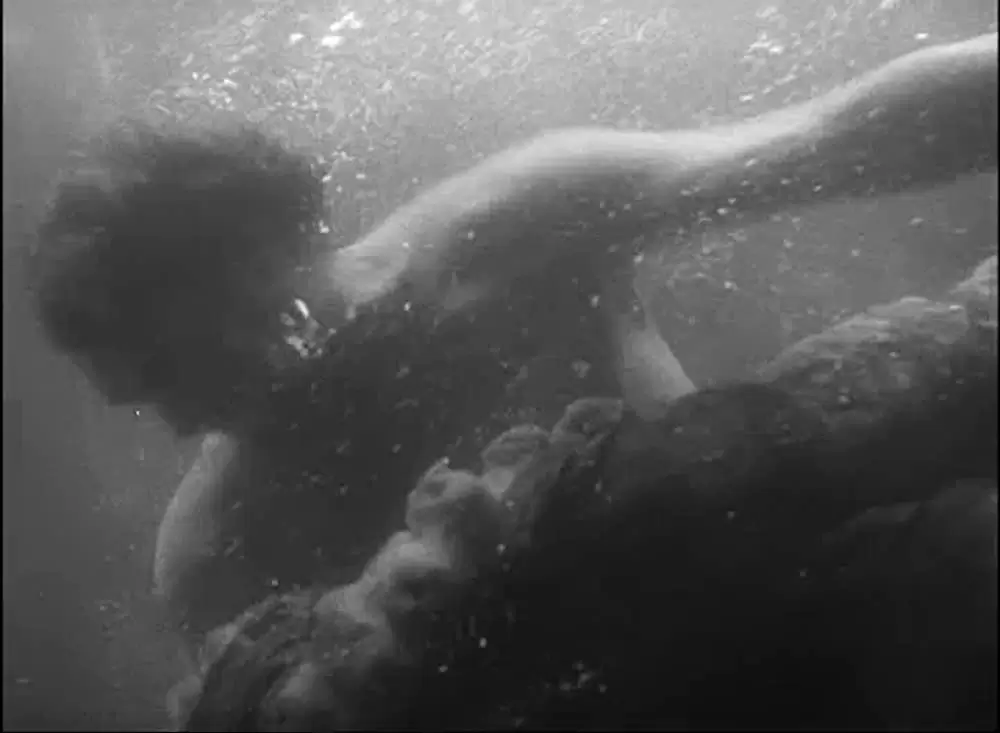 絶海のターザンの画像