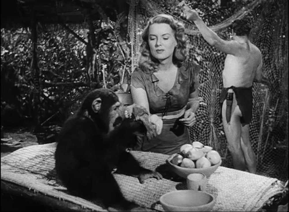 絶海のターザンの画像