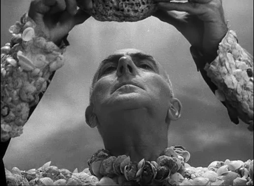 絶海のターザンの画像