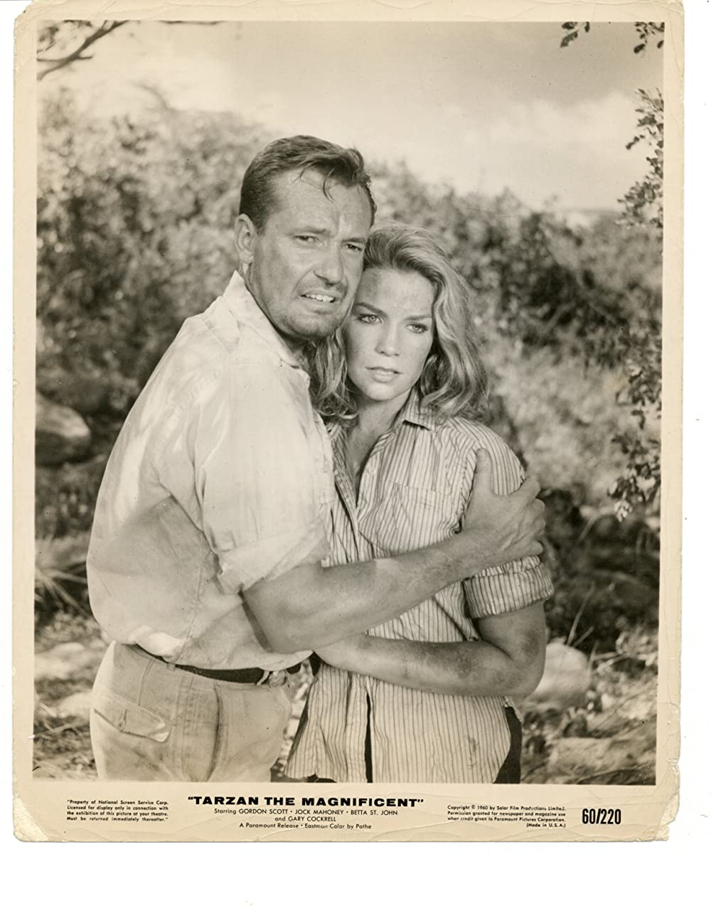 ターザン大いに怒るの画像