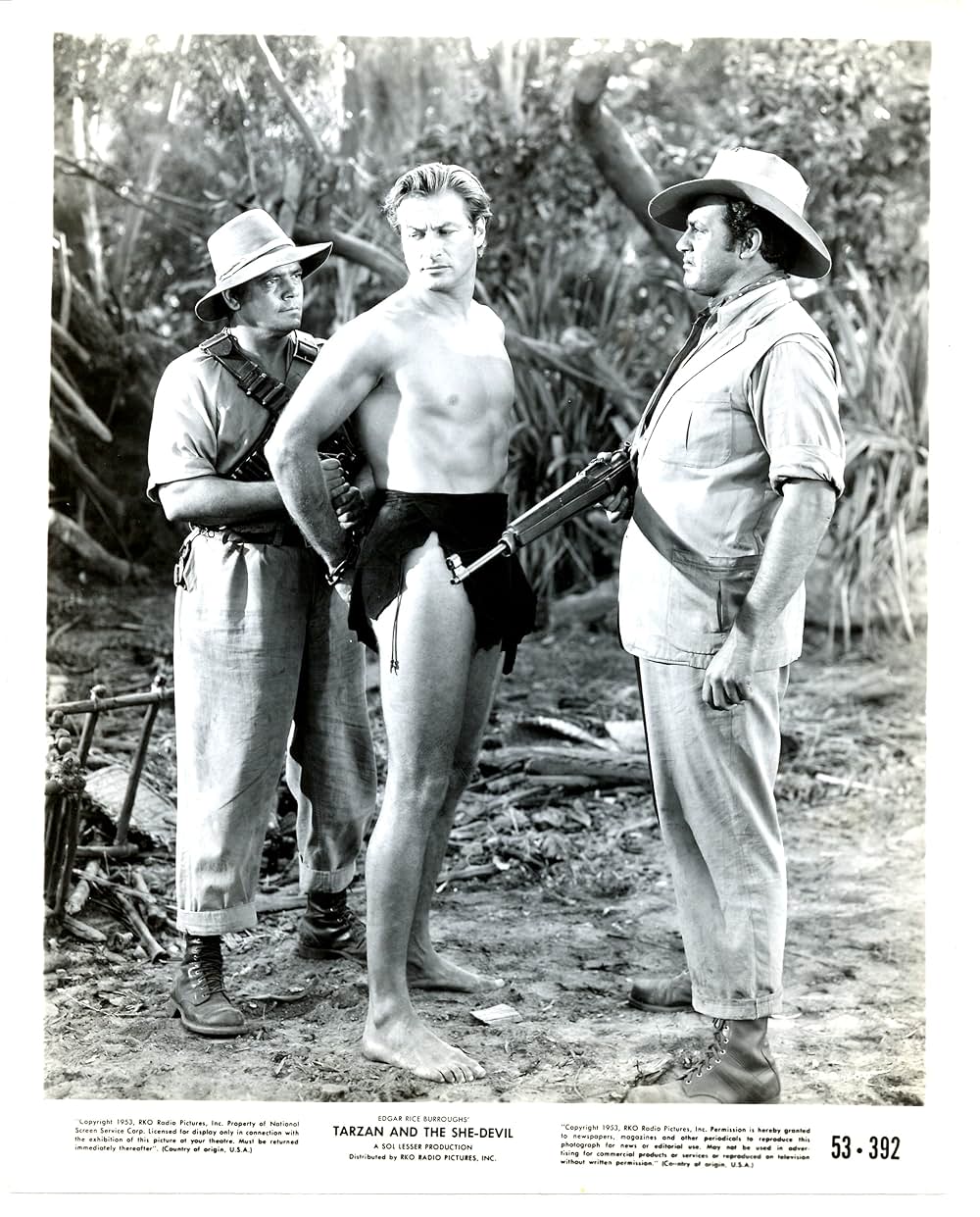 ターザンと巨象の襲撃の画像