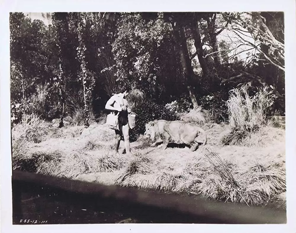 ターザンと消えた探検家の画像