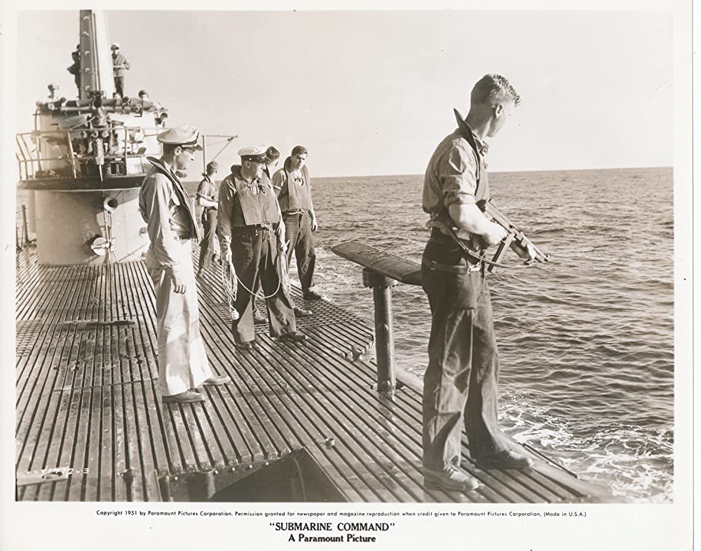 太平洋の虎鮫の画像