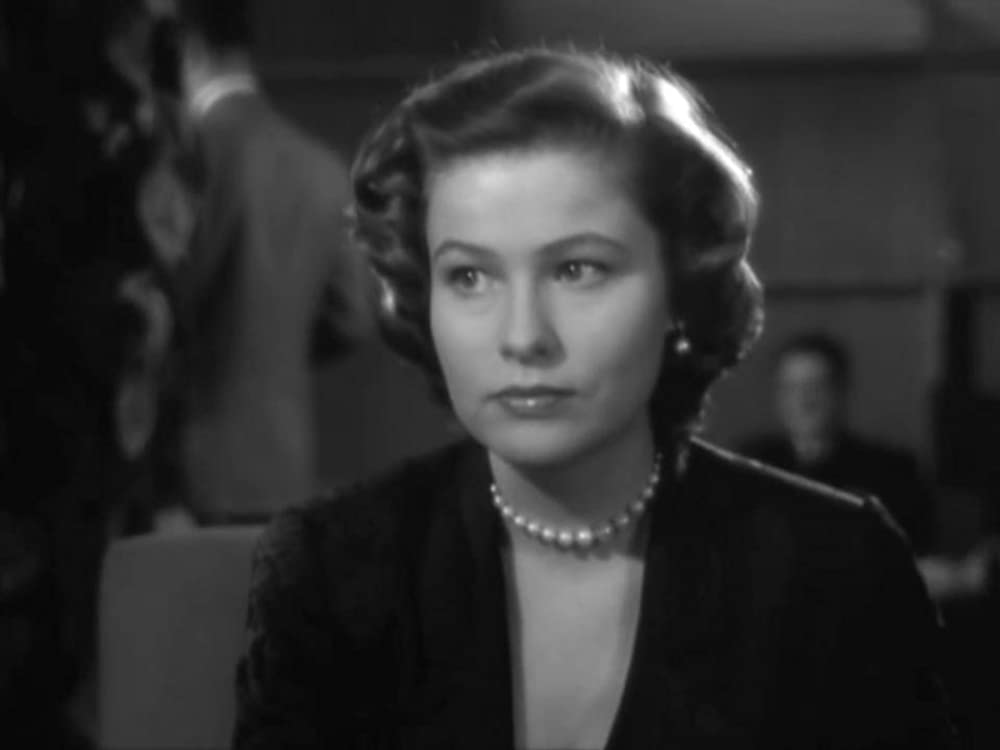 太平洋の虎鮫の画像