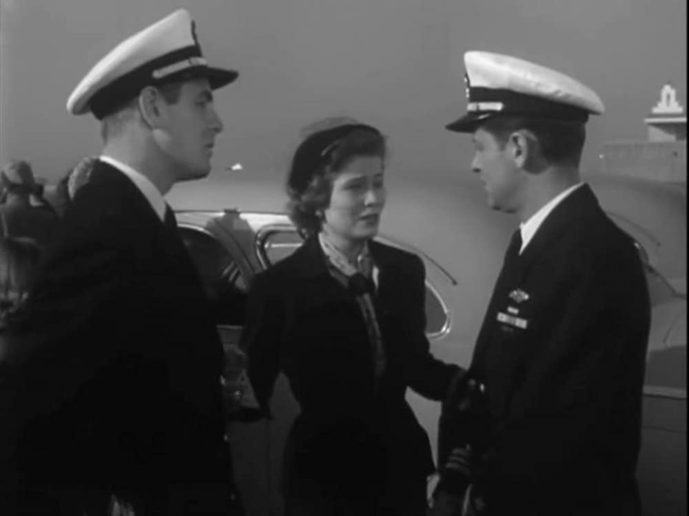 太平洋の虎鮫の画像